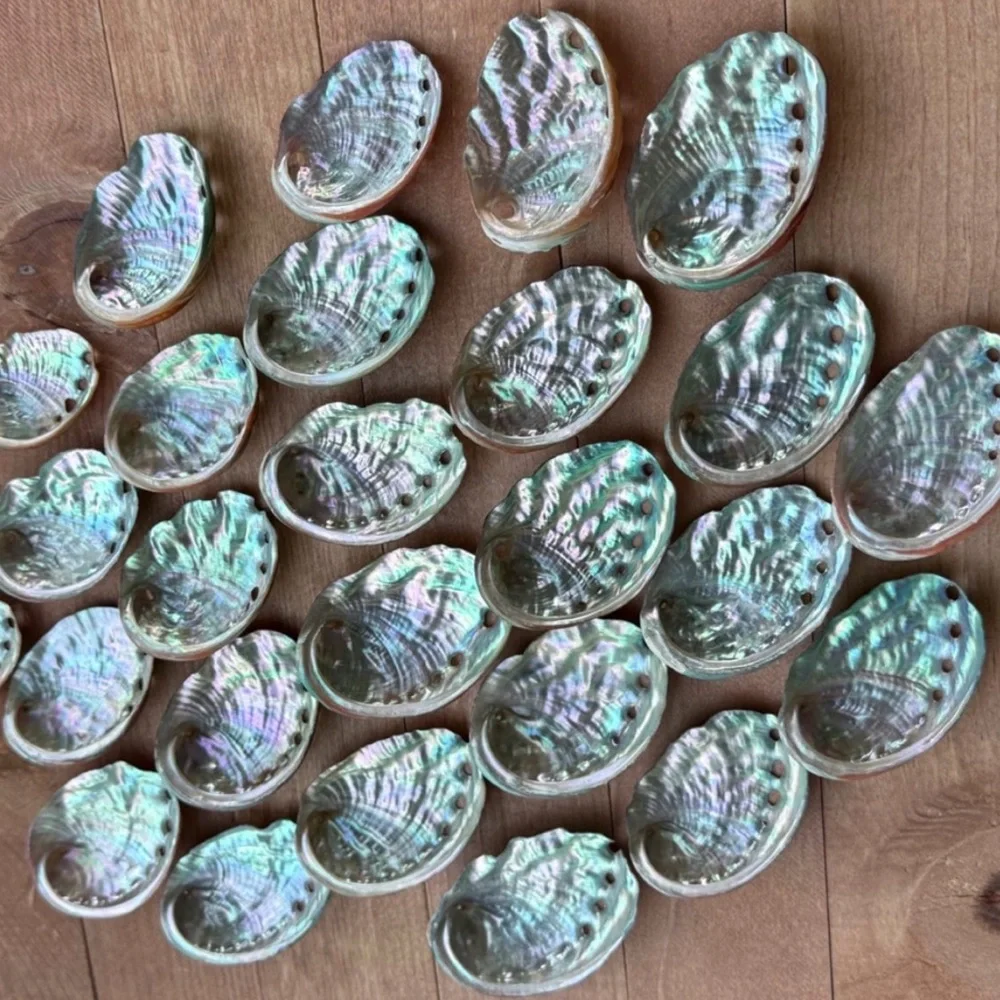 Real ABALONE Shells Polished Nautical DIY Crafting Decor Coastal Mixed Bulk lot